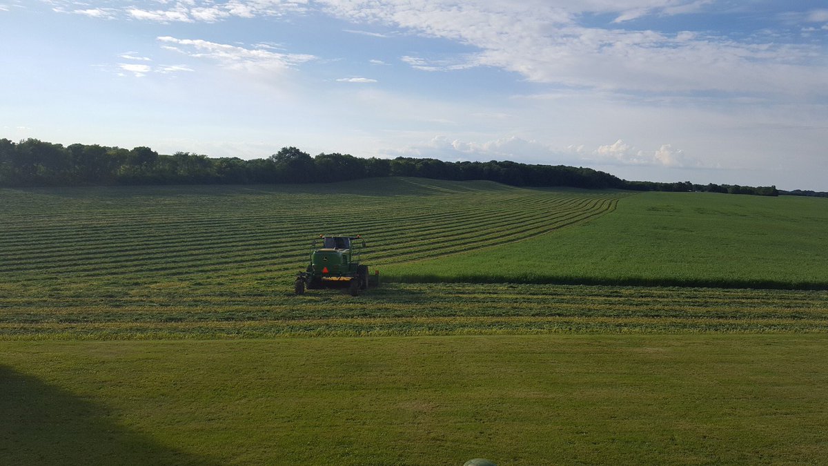 JeffCoFTD2019's tweet photo. Finally getting the 1st cut done! #Wisco #alfalfa #FTD2019 #progress https://t.co/WieaOeXl2t