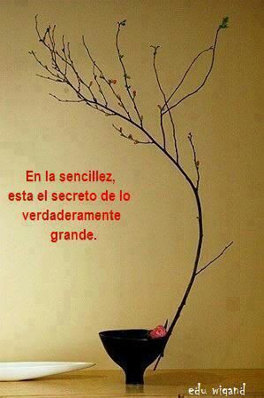 Max Cota tweet media