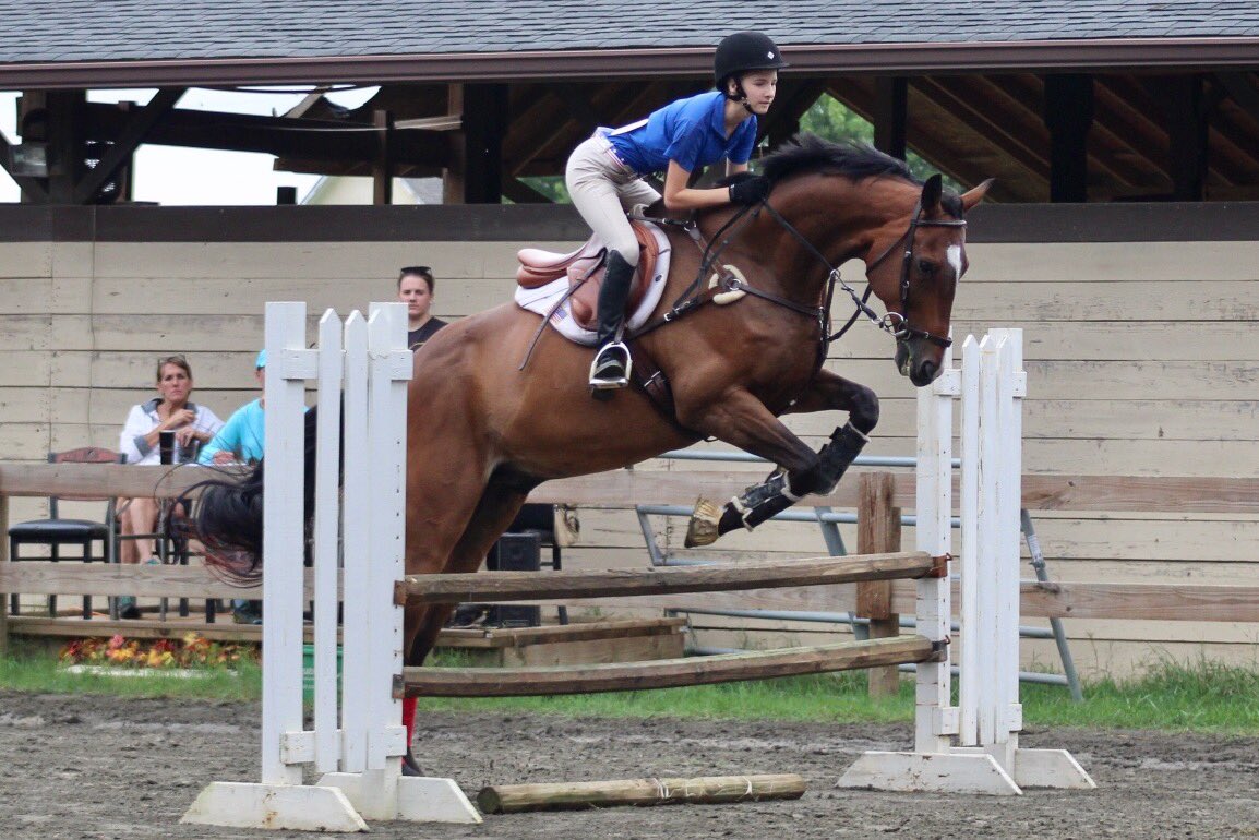 JLHeventing's tweet photo. Show today Loki was a beast as usual ❤️❤️ did our first 2'6 course! Go green bean! #ottbpower https://t.co/glddH85Leh