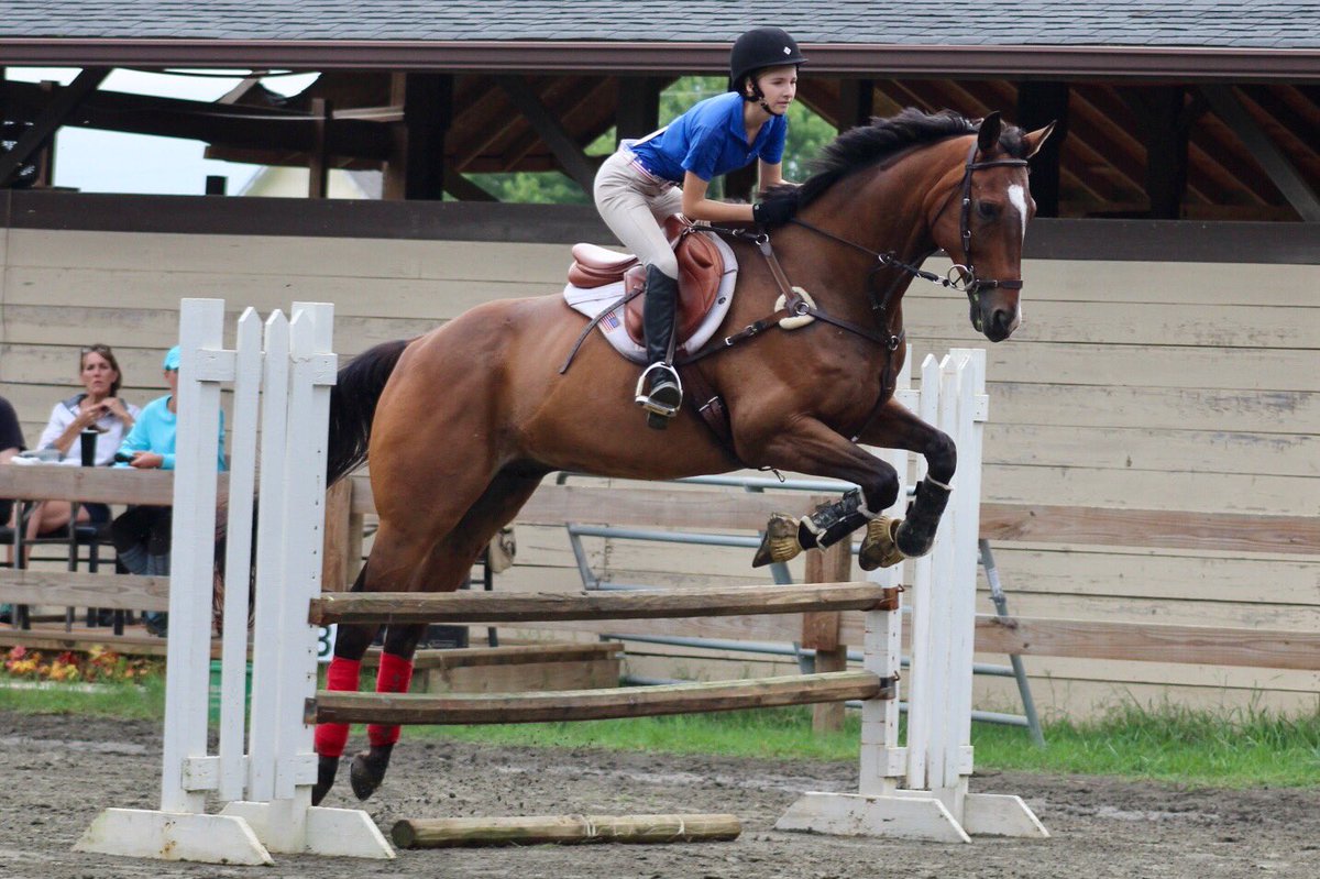 JLHeventing's tweet photo. Show today Loki was a beast as usual ❤️❤️ did our first 2'6 course! Go green bean! #ottbpower https://t.co/glddH85Leh