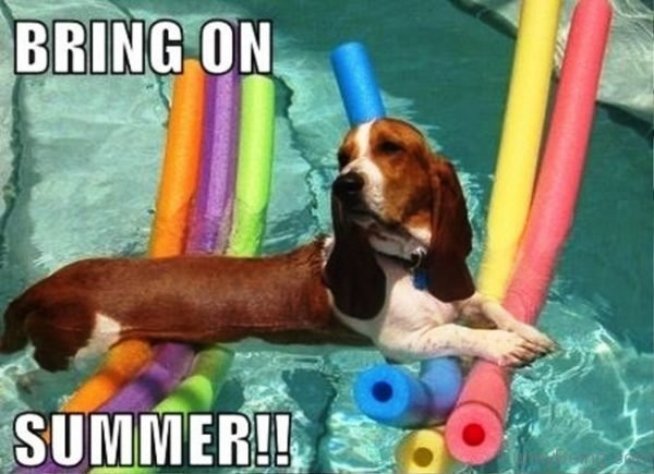 melc520's tweet photo. @RedAppleLipstic LOL #RALSUMMER https://t.co/3WUa7WvX4h