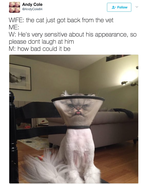 Save2ndOK's tweet photo. I Don't Think He Looks Too Happy...... https://t.co/tnmwjuVbaG