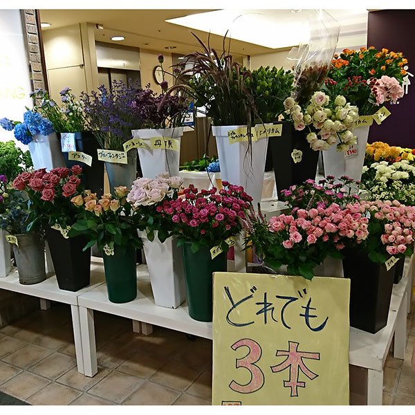 西武東戸塚s c 花季節 フラワーバイキング は本日午後7時まで よりどり3本で540円 ぜひ素敵なお花で気分をアップしてくださいね 7階特設会場 カルディコーヒー前 T Co Hpq6hxhms1 Twitter 西武東戸塚s c 花季節 フラワーバイキング は本日午後7時まで よりどり3本で540円 ぜひ素敵なお花で気分をアップしてくださいね 7階特設会場 カルディコーヒー前 T Co Hpq6hxhms1 Twitter