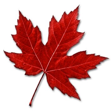SandraJGoodwin's tweet photo. Ketchup chips. Double doubles. As It Happens. Saying sorry. Fiddle music. Toques. Humour. Red cheeks &amp; white snow. Watching @CBC #Canada150 https://t.co/8Md2cmPEaV