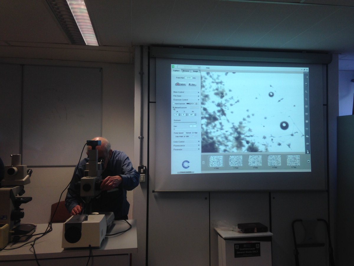 teresamorganti's tweet photo. Workshop on Hexactinellida #sponges by Henry Reiswig.... how much energy has this man!!!! #WorldSponge10 https://t.co/3GNUJMWFtT
