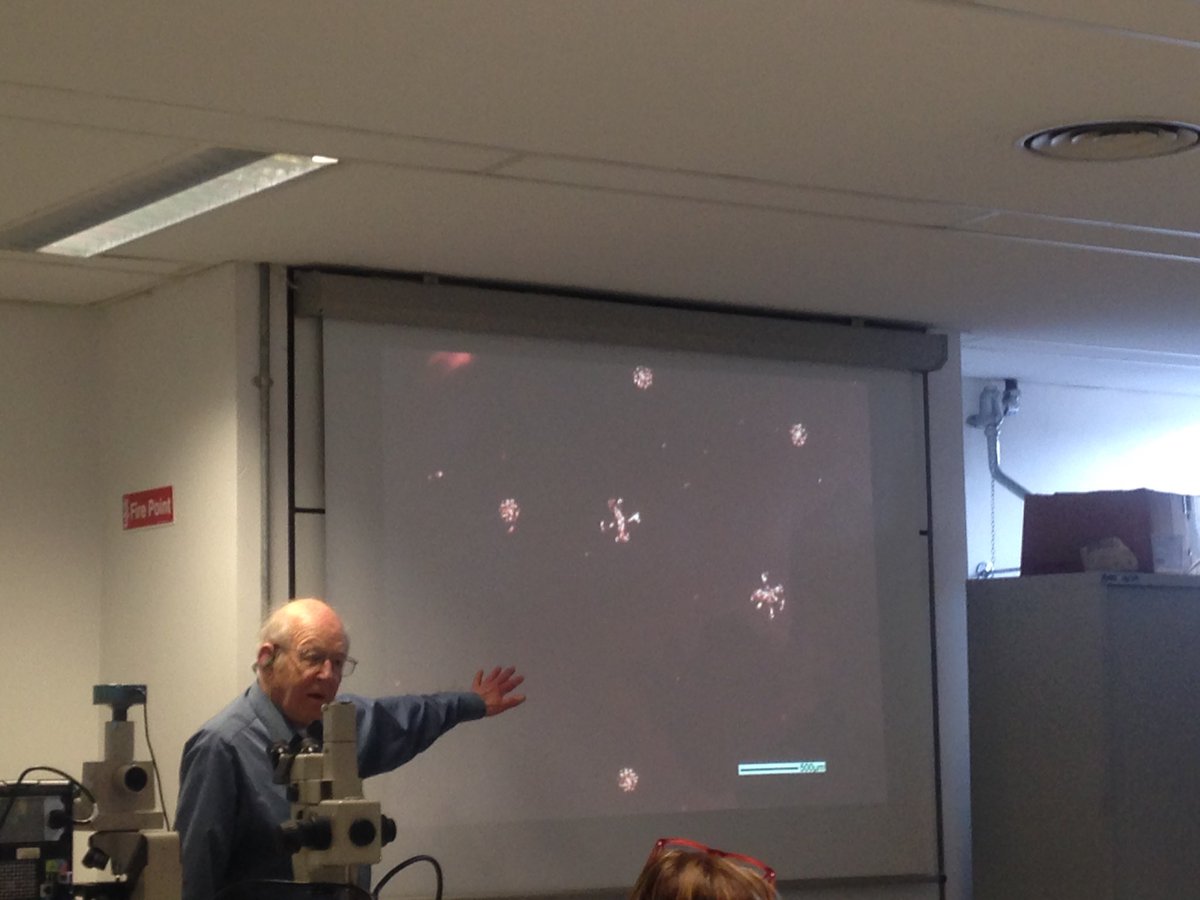 teresamorganti's tweet photo. Workshop on Hexactinellida #sponges by Henry Reiswig.... how much energy has this man!!!! #WorldSponge10 https://t.co/3GNUJMWFtT