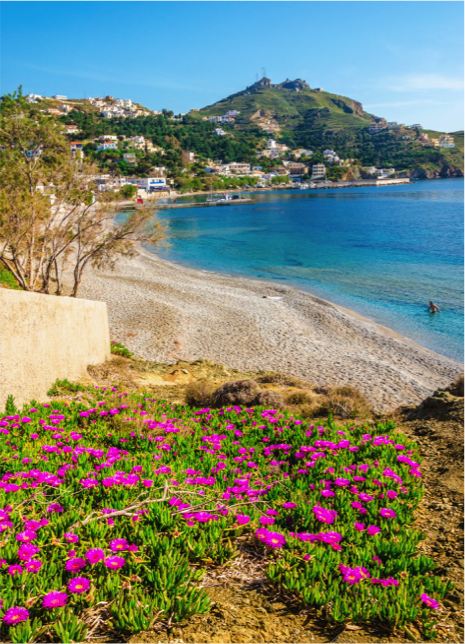 DiscoverGRcom's tweet photo. Palm trees and sandy beaches, all in your hands grasp, in Kos! #DiscoverGreece #Kos https://t.co/q54AloI2Og