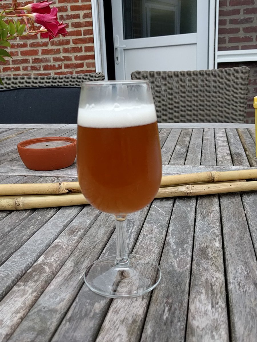 Ivo Devlaeminck Ivvl Twitter