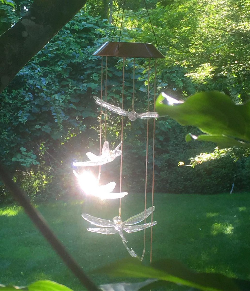 3weekVictoria's tweet image. 