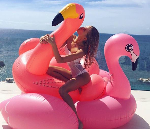 View image on Twitter