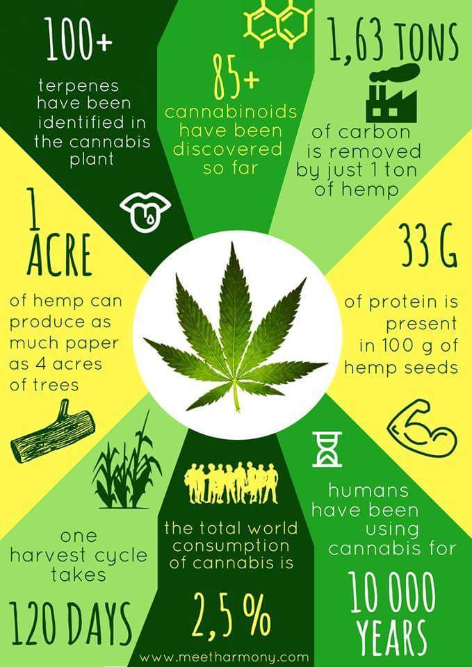 Cannacareire tweet picture