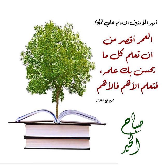 حسيني الهوى (@4shia_) on Twitter photo عن الامام علي (ع):
العمر أقصر من أن تعلم كل ما يحسن بك علمه، فتعلم الأهم فالأهم.
نهج البلاغة📚
<a href="/rtshia/">صلوات</a>
<a href="/4Shia/">ريتويت4⃣شيعة</a>
<a href="/w__es/">αℓ τнαнαвi🩵 </a>
<a href="/MMAJ85/"> ابومنتظرالكربلائي</a>
<a href="/E_m_ad/">عـمـاد العجيلـي</a>
<a href="/4ShiaRT/">RT الشيعة</a> عن الامام علي (ع):
العمر أقصر من أن تعلم كل ما يحسن بك علمه، فتعلم الأهم فالأهم.
نهج البلاغة📚
<a href="/rtshia/">صلوات</a>
<a href="/4Shia/">ريتويت4⃣شيعة</a>
<a href="/w__es/">αℓ τнαнαвi🩵 </a>
<a href="/MMAJ85/"> ابومنتظرالكربلائي</a>
<a href="/E_m_ad/">عـمـاد العجيلـي</a>
<a href="/4ShiaRT/">RT الشيعة</a>