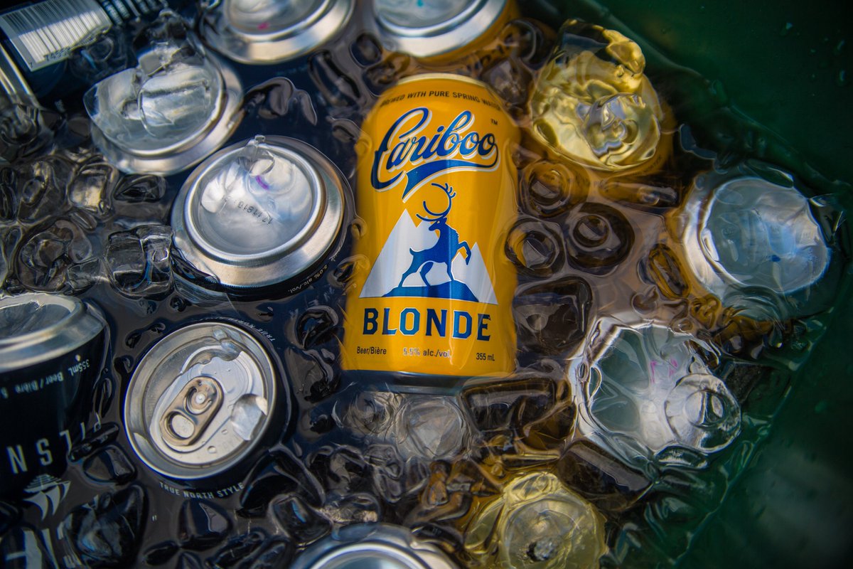 Food Cart Fest tweet media