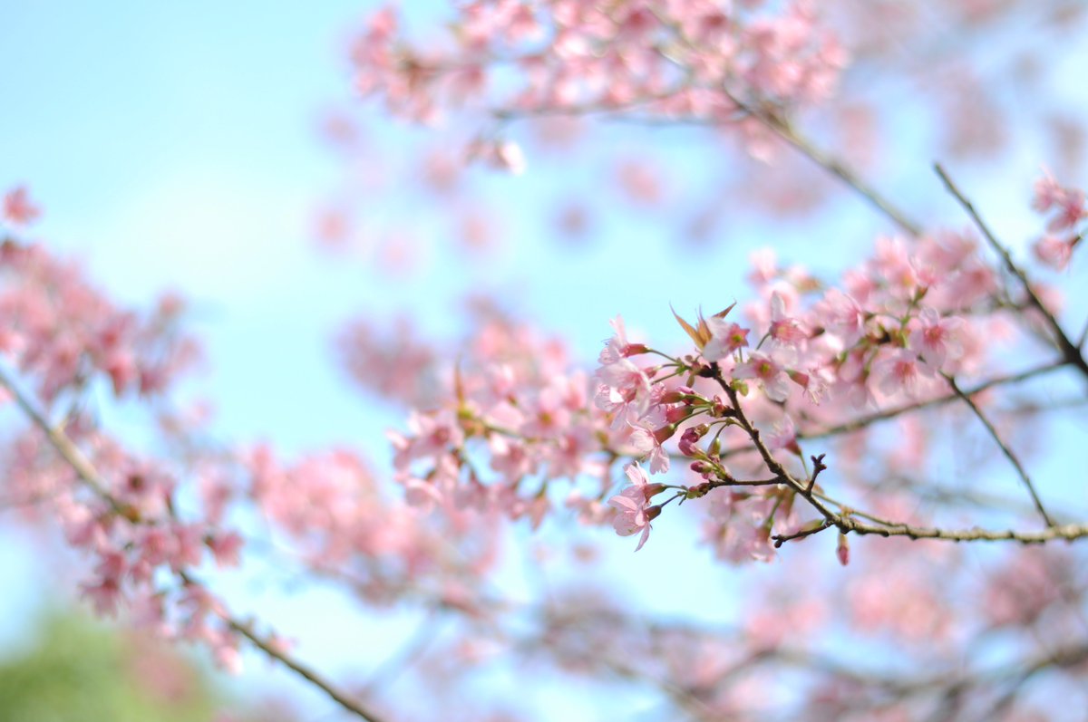 masterbpp's tweet image. ขุนสถาน ดินแดนที่งดงาม