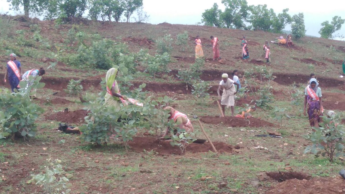 District Dindori tweet media