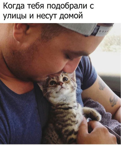 Научный журнал | Факты