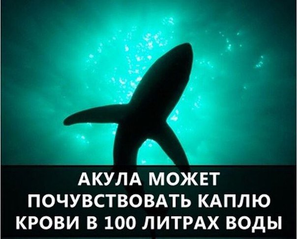 JP_Leon94's tweet photo. Научный журнал | Факты https://t.co/lQjQnvU3pr