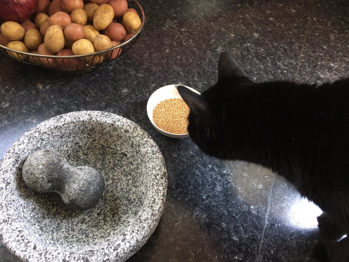 meadmixologist's tweet photo. Einstein and me working on our latest project. #mead https://t.co/tuUy9USSb4