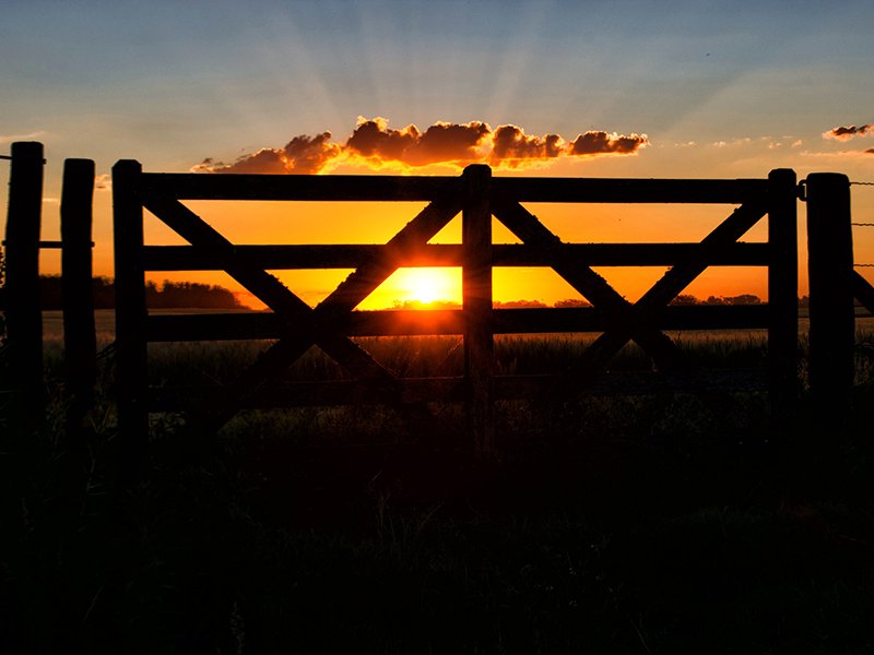 Bearfest is back on 30/07/17 Only 4 weeks away!
We'll announce the lineup on FBook or head over to bearfest.co.uk to be in the know