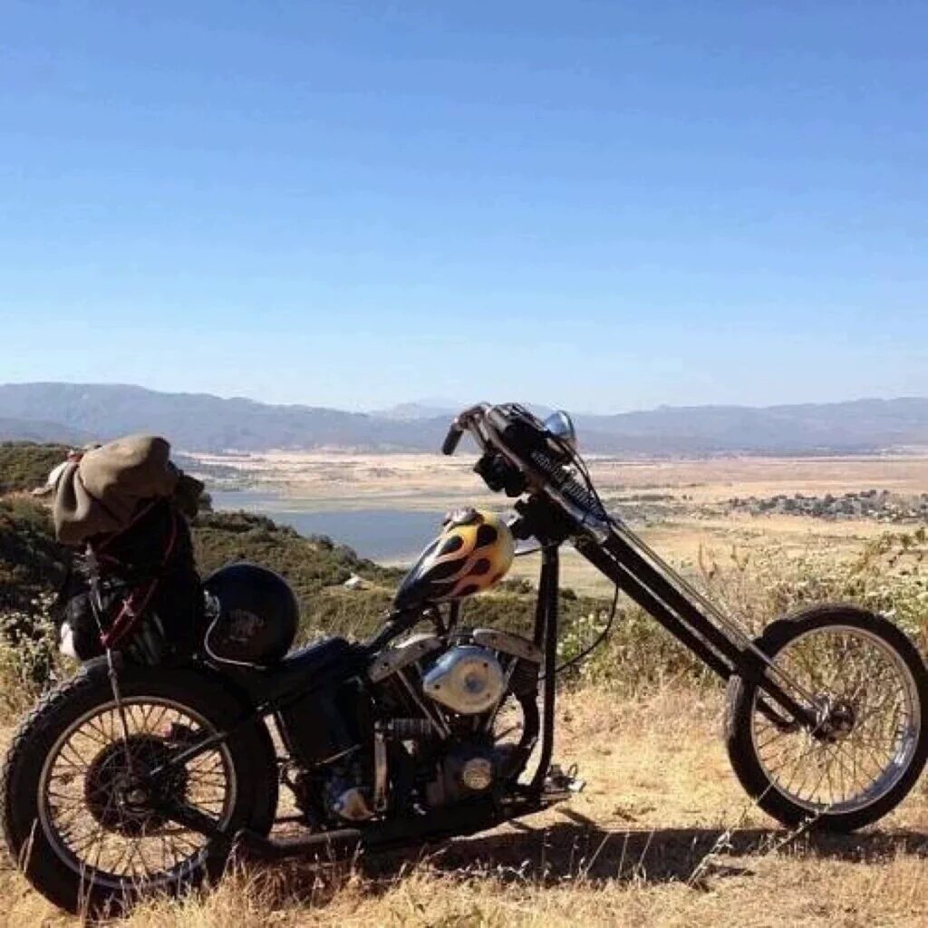 trapperlang's tweet image. 