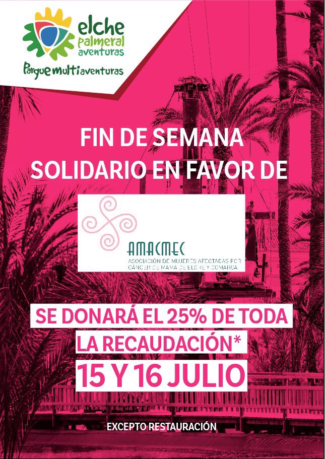Elche Palmeral Avent tweet media