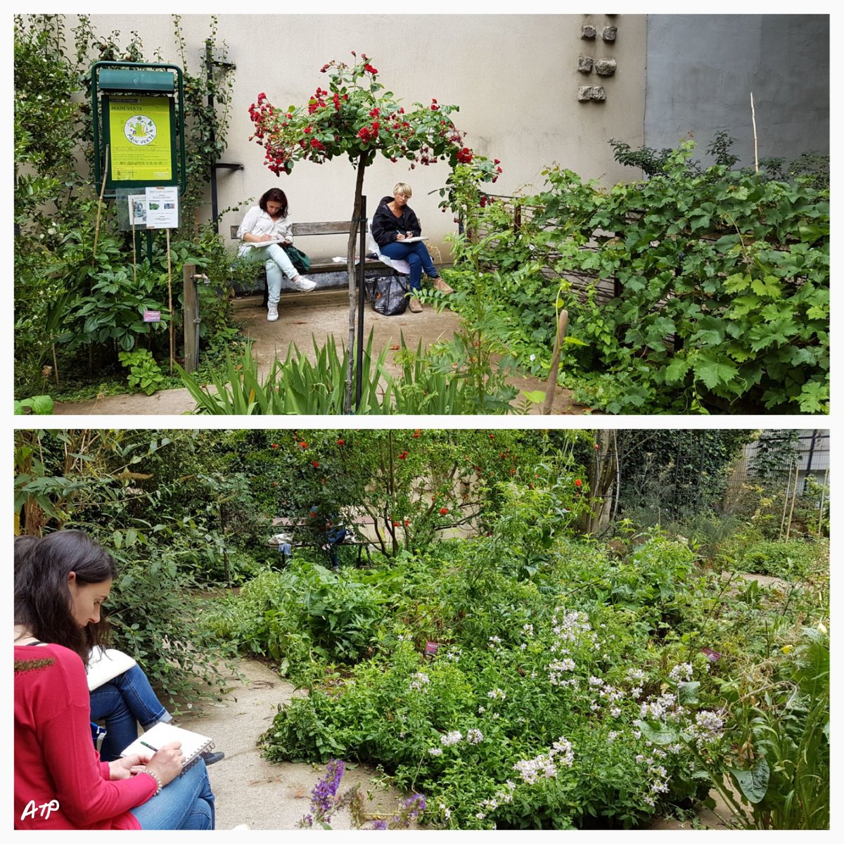 JardiniersDu4em's tweet photo. Au Clos des Blancs Manteaux ... on jardine, dessine, composte ... @vegetalisons #CheminNatureParis4 https://t.co/dd2q8YMLck