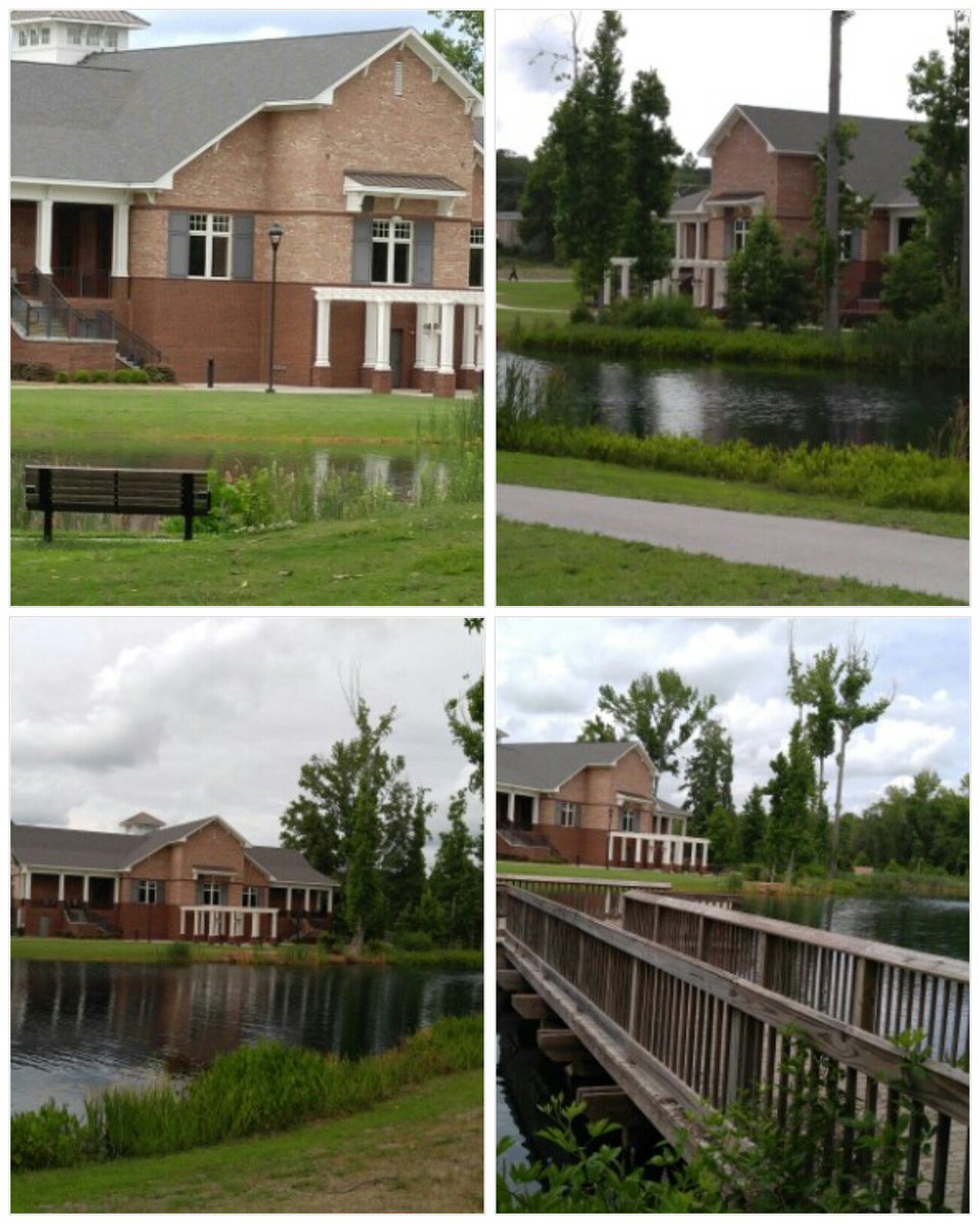 Doko Manor (@dokomanor) on Twitter photo 