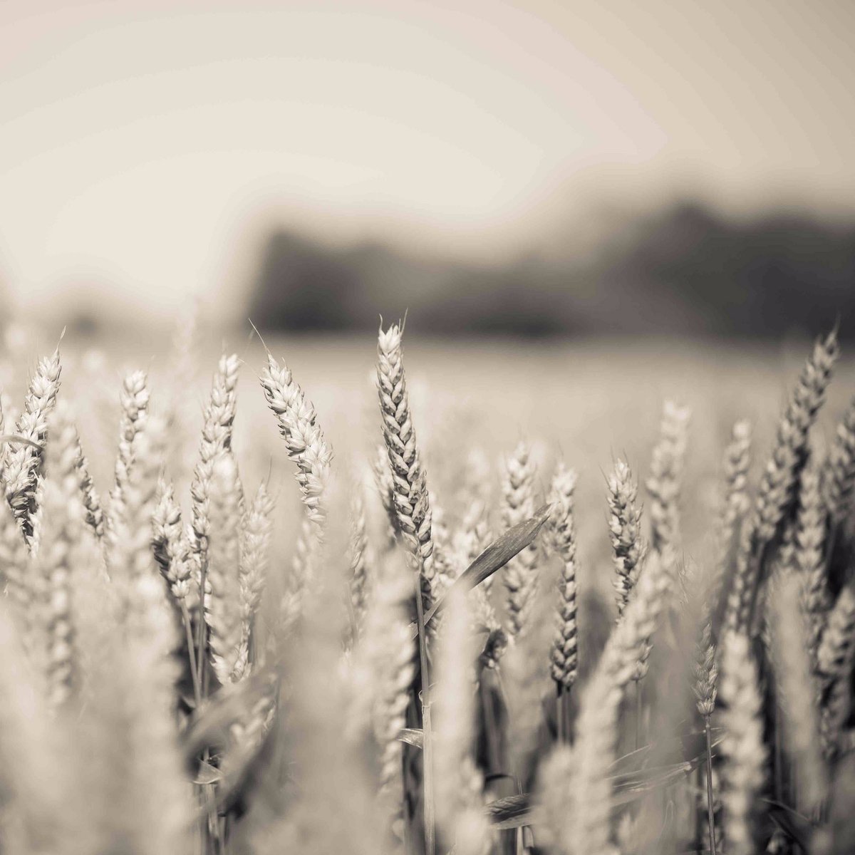 LydiaBoothPhoto tweet media