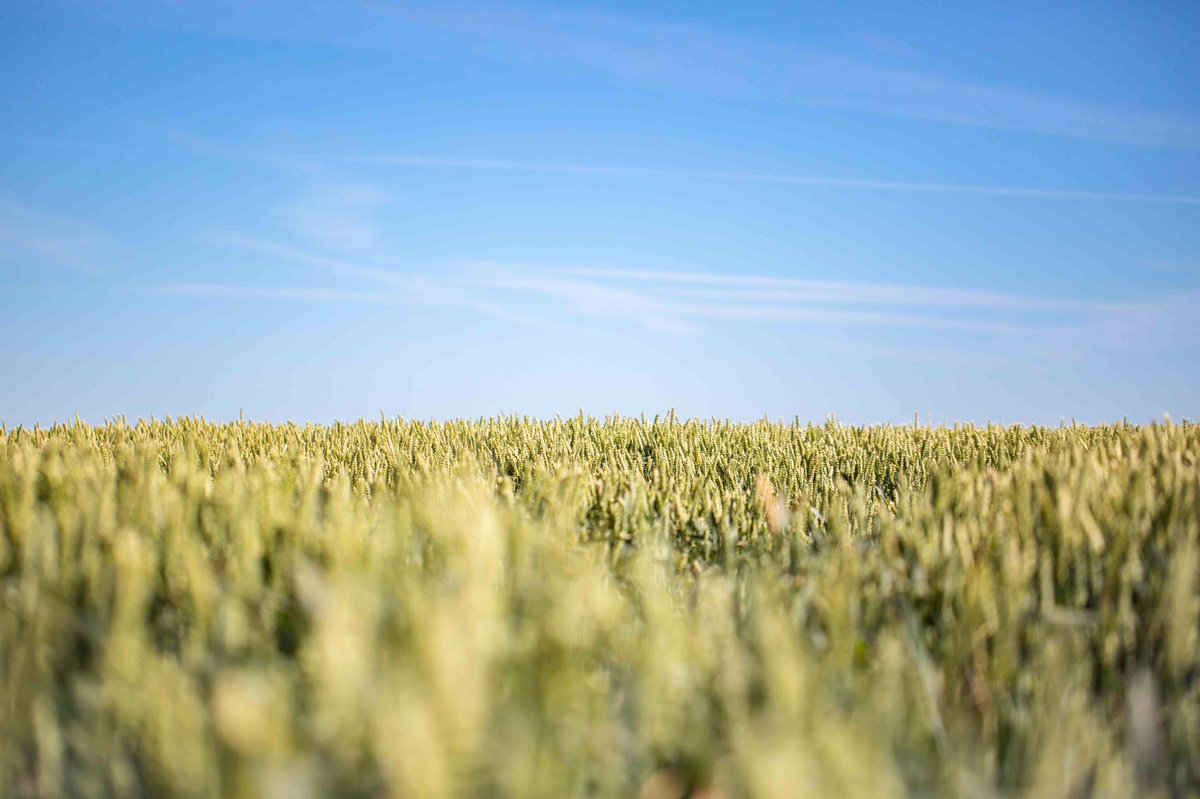 LydiaBoothPhoto tweet media