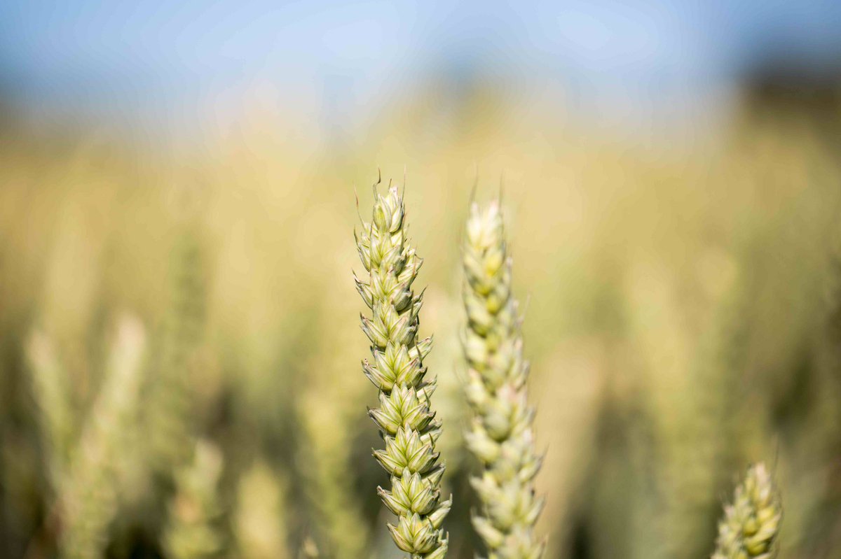 LydiaBoothPhoto tweet media