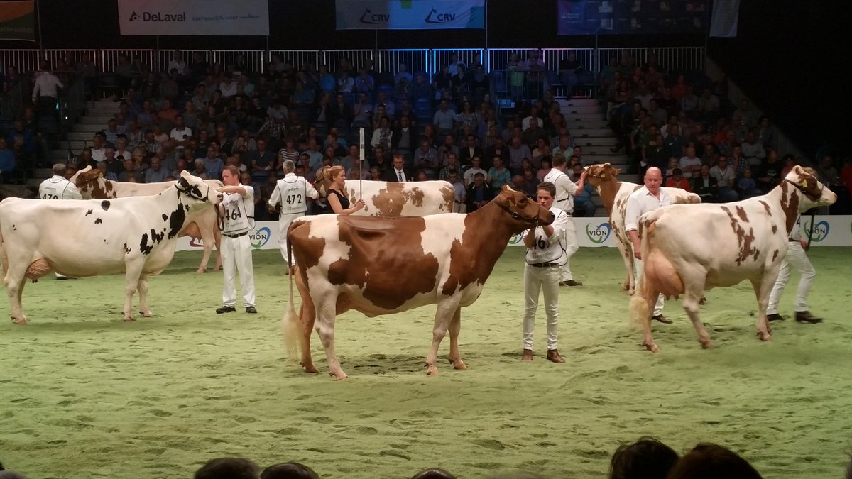 Veel super mooie koeien gezien op de NRM Zwolle.