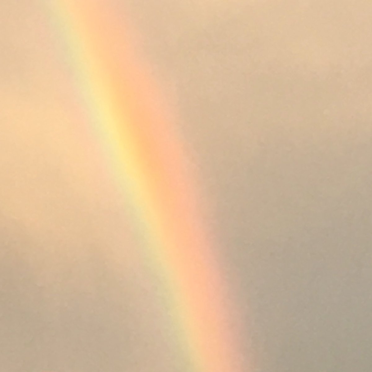 bokuun2017's tweet photo. 見つけた🌈 https://t.co/0ZXbVrAhzK