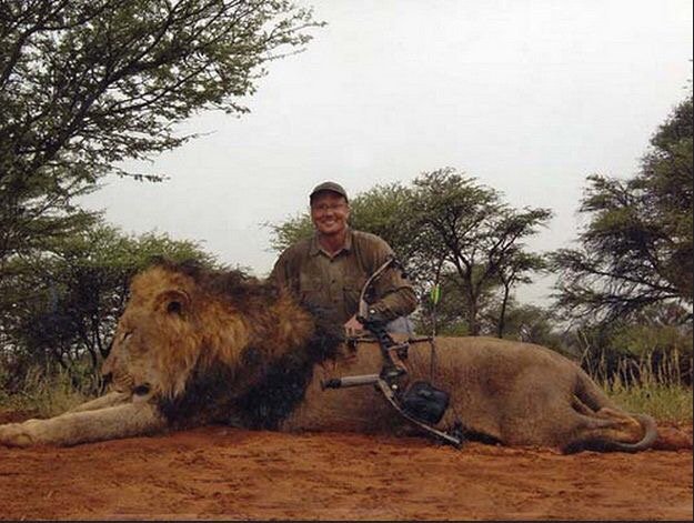 RT Let the killing of #CecilTheLion be the start of a global campaign to stop the killing of ALL animals for 'sport'