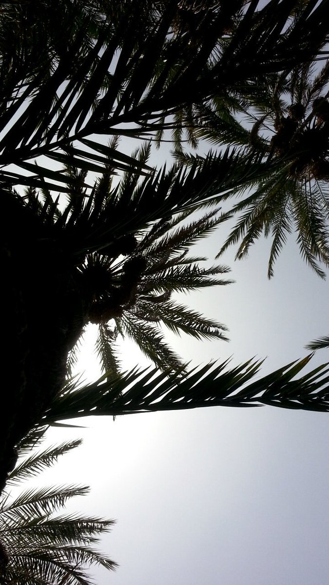 ayod_7's tweet photo. يارب مُعجزة من عندك تُغير الأقدار تُغير الأقدار وتُحقق الأماني 
. 
#عبارات_كاتب 
#نمضي_قدماً 
#مقتطفات_إيود https://t.co/vqeeb3v8ZY