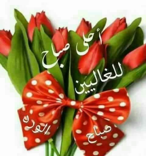 ldvbC0AZUtSTISB's tweet image. 