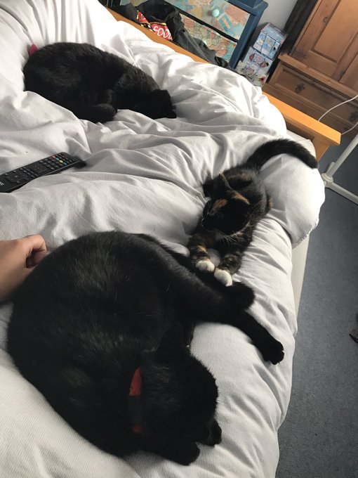 Watch GaldaLou🐐's leaked NSFW photo on TwXstars