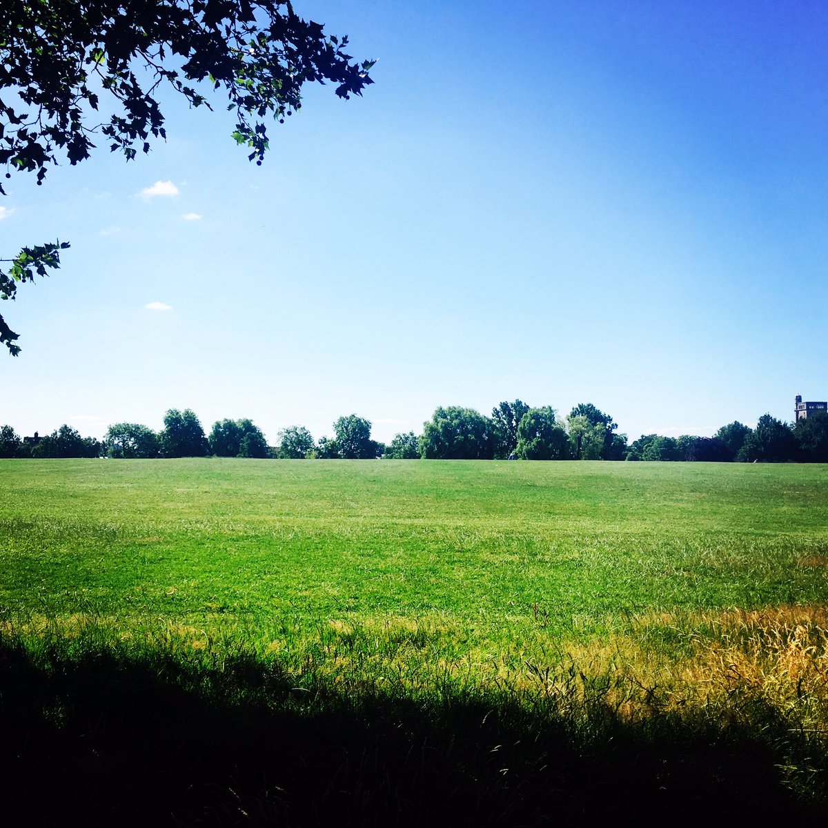 Emily Maginess tweet media