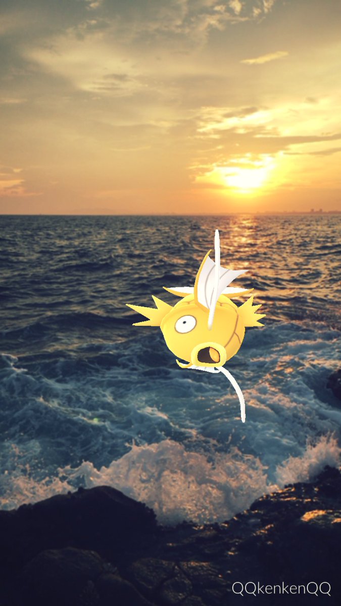 Twitter पर Kenken 夕日に当たる金コイは神々しい ポケモンar写真大会 Pokemongo Pokemongophotos ポケモンgo ポケモン写真 Pokemonphoto ポケモンgo写真 ポケモンar写真 ポケモンgoar写真 江ノ島 Enoshima T Co Mqazzuglu5