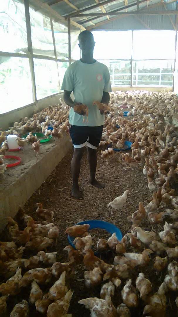 AyeiAfrica's tweet photo. Animal farming is one of the priority for @AyeiAfrica and investing in these young agric-entrepreneurs across Africa will be our major tasks https://t.co/OhnIiVnGrN