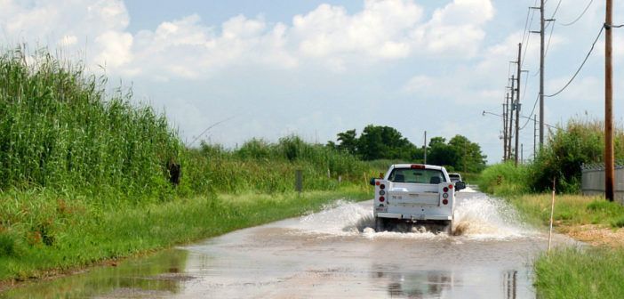 Humanosphere tweet media