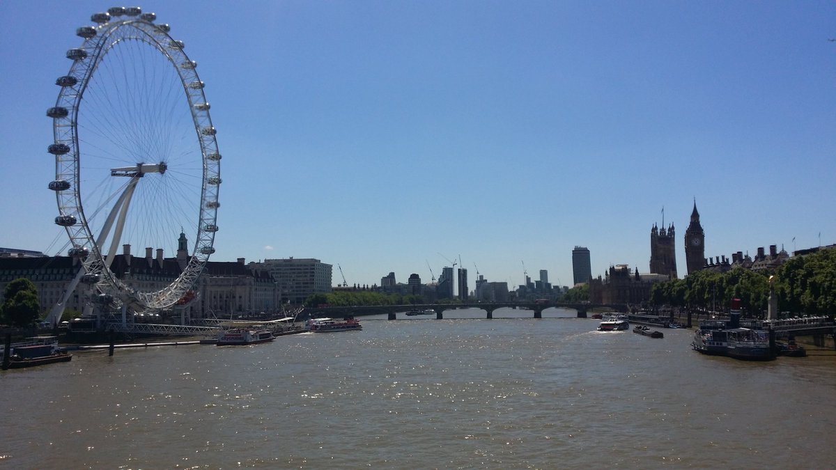 Jane Charlotte On Twitter Teamkidney Views From A Bridge Lord Knows Which One Losing Count twitter