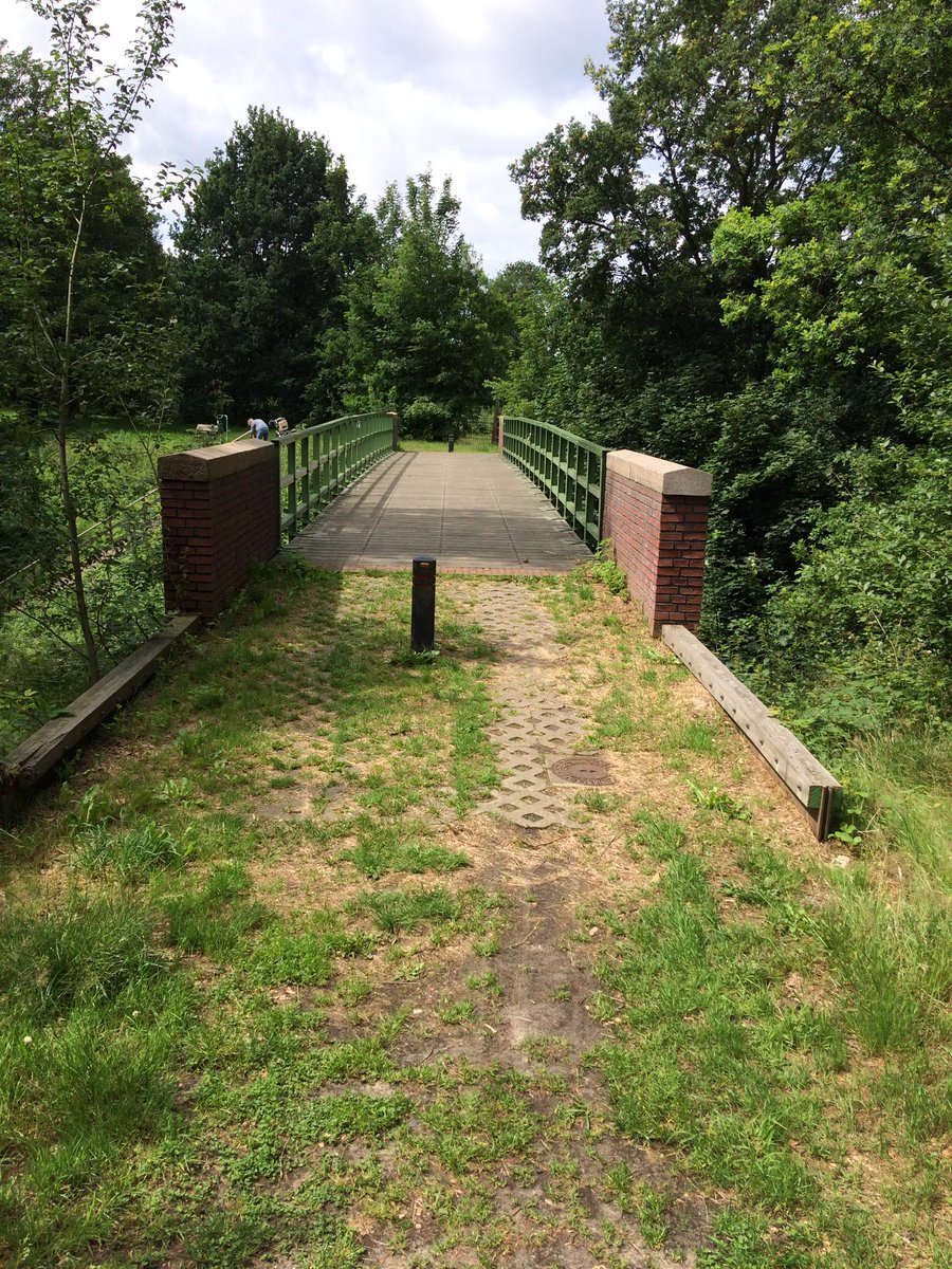 Als <a href="/STARstoom/">Museumspoorlijn STAR</a> van Gasselte naar Gieten rijdt stoomt het via het ravijn langzaam de Hondsrug op. Impuls voor het toerisme!👍<a href="/HenkBrinkDr/">Henk Brink</a> 👍