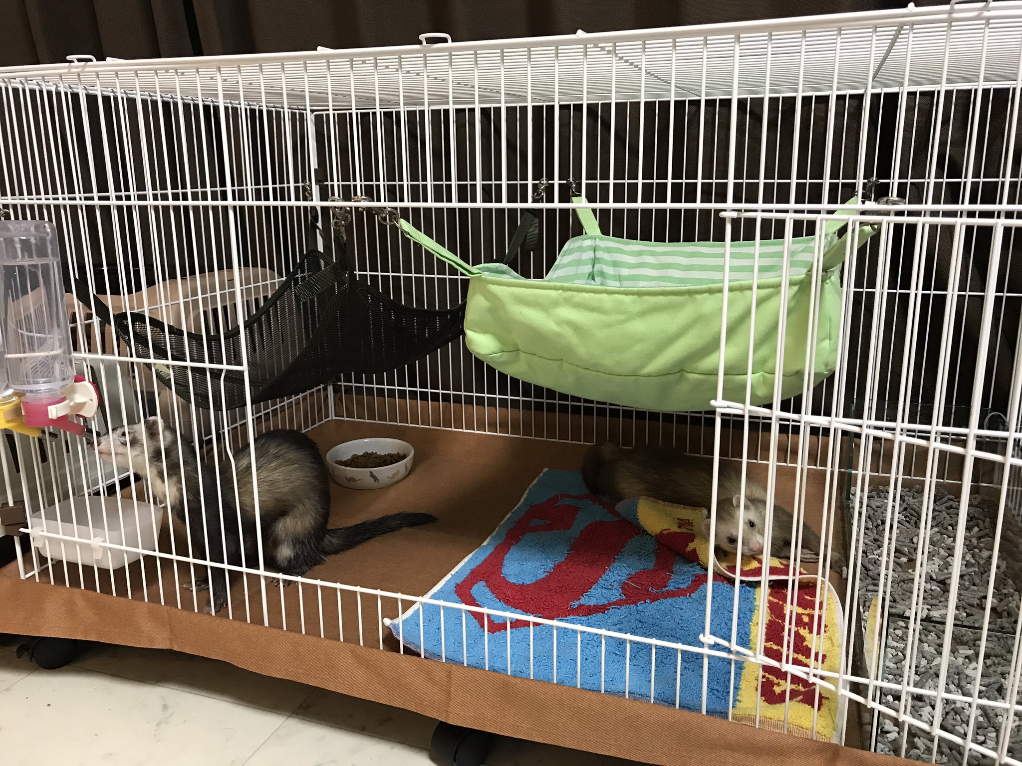 kawai メディカル60 フェレット ケージ サークル 【公式通販】