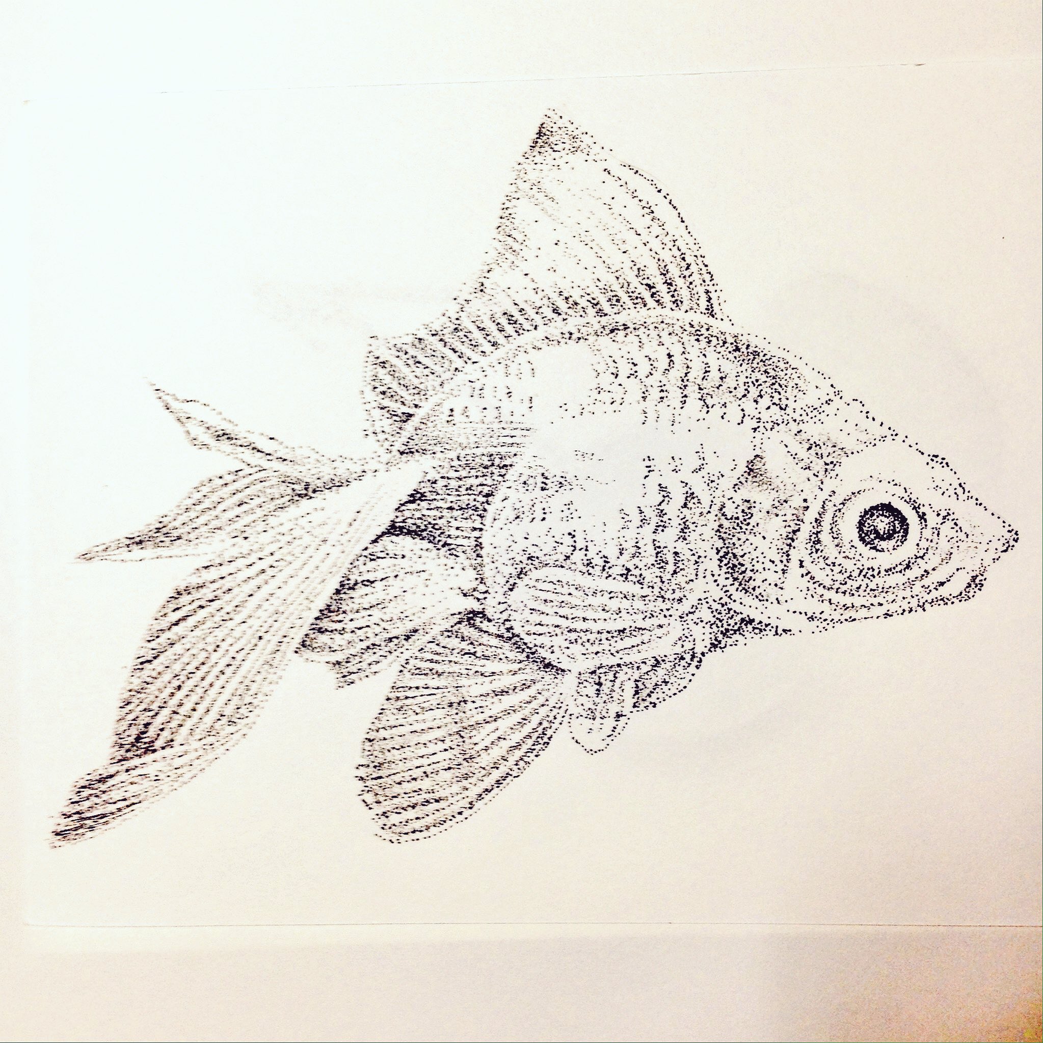 点描画 Dramarcelaqueiroz Com Br 点描画 Dramarcelaqueiroz Com Br