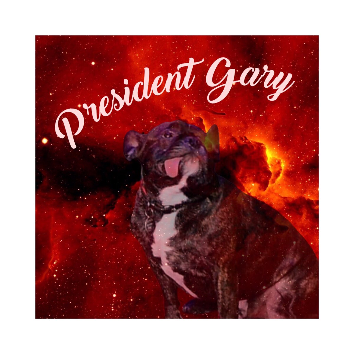 GaryFrPresident's tweet photo. Donald for President? Or Gary For President?
#GaryForPresident 🇺🇸 https://t.co/ZEnuDpY2IV
