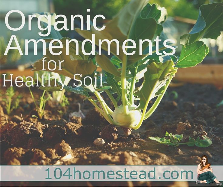 Organic Soil Amendments from <a href="/104homestead/">The 104 Homestead with Jessica Knowles</a> #gardenchat #gardening bit.ly/2tkMFcD