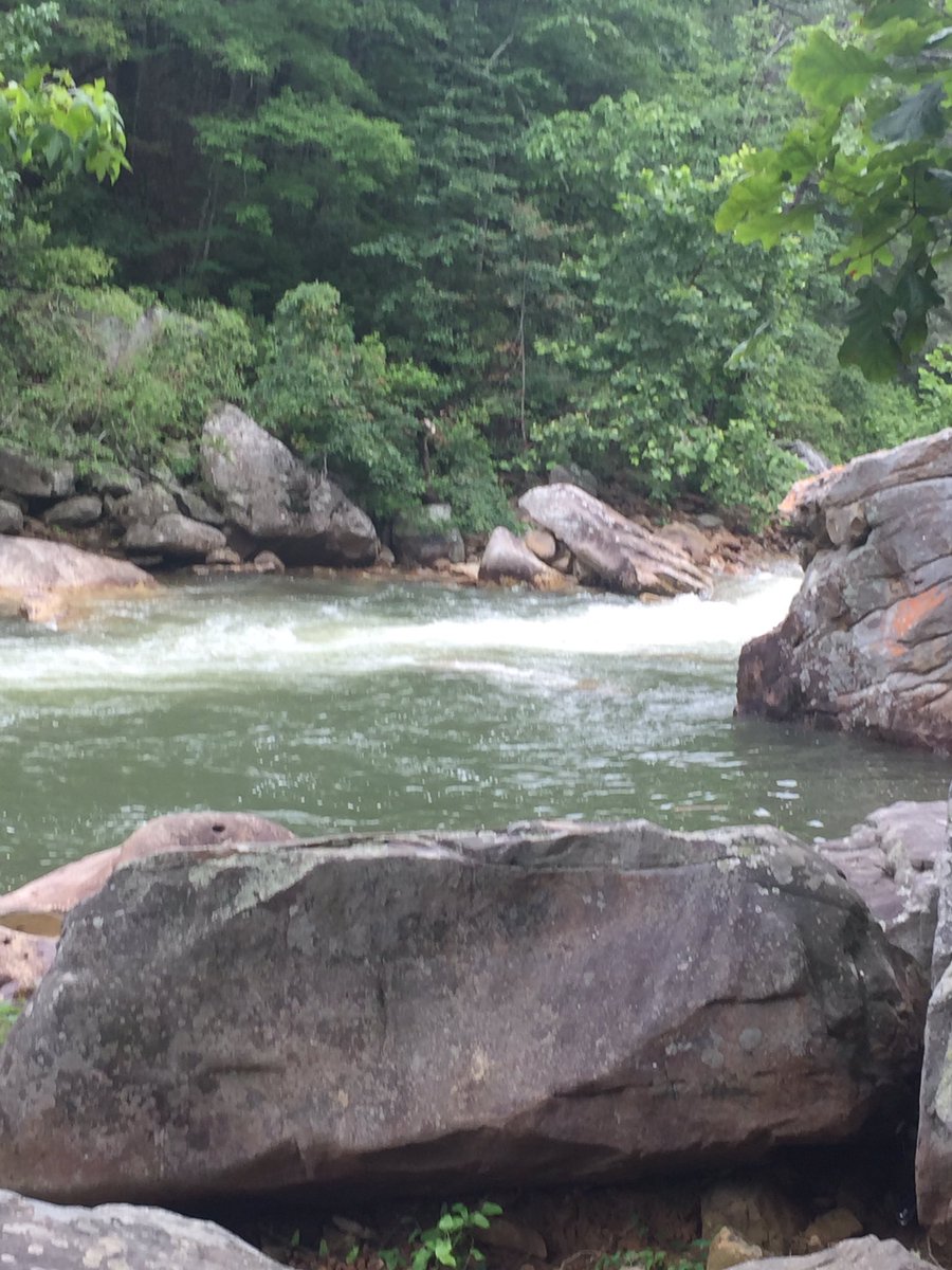 NCCConservancy's tweet image. Don't let the rain get you down.   Head out to the North Chick Creek Gorge and enjoy the day!