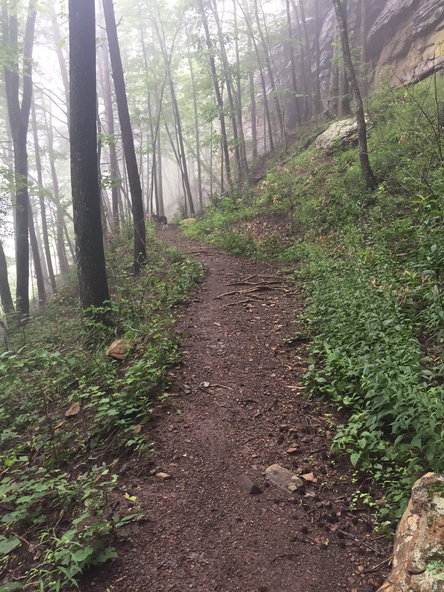 NCCConservancy's tweet image. Don't let the rain get you down.   Head out to the North Chick Creek Gorge and enjoy the day!
