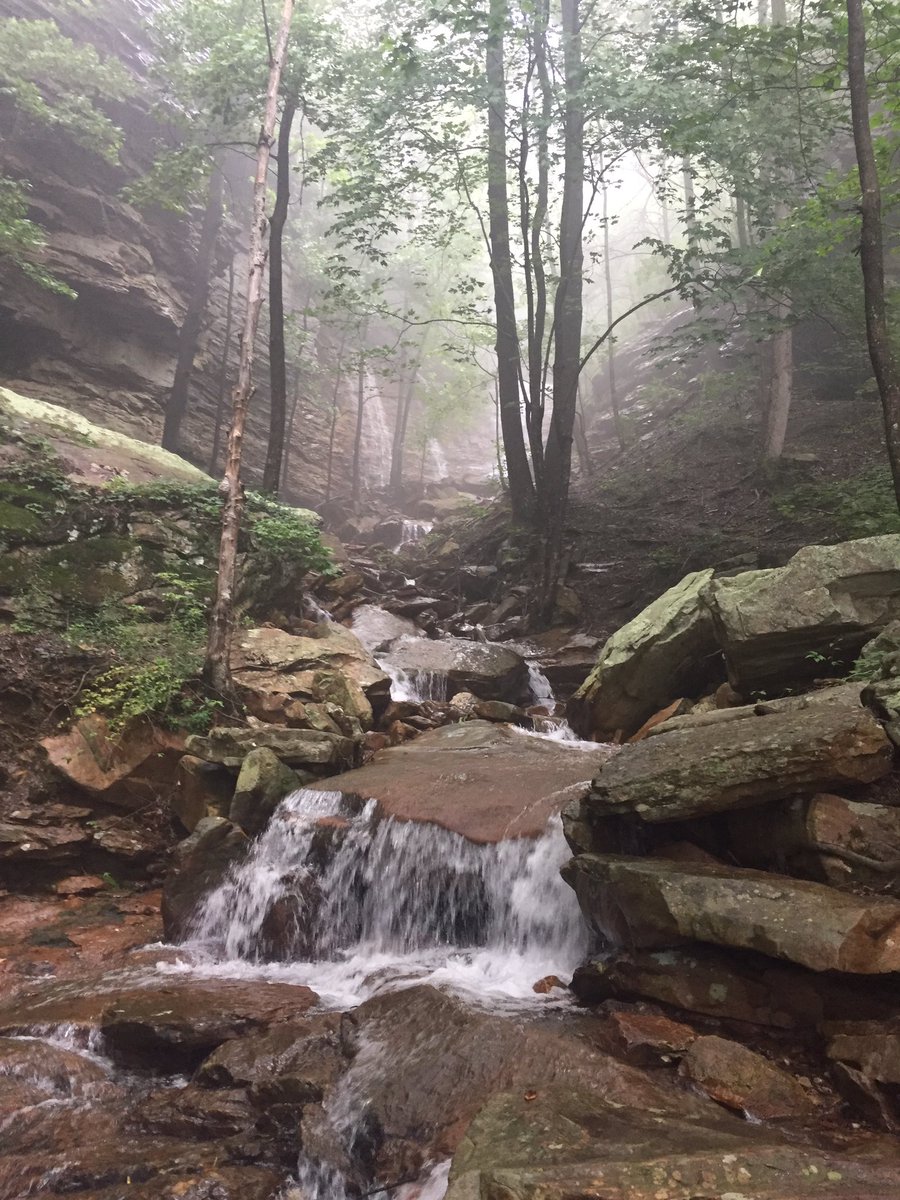 NCCConservancy's tweet image. Don't let the rain get you down.   Head out to the North Chick Creek Gorge and enjoy the day!