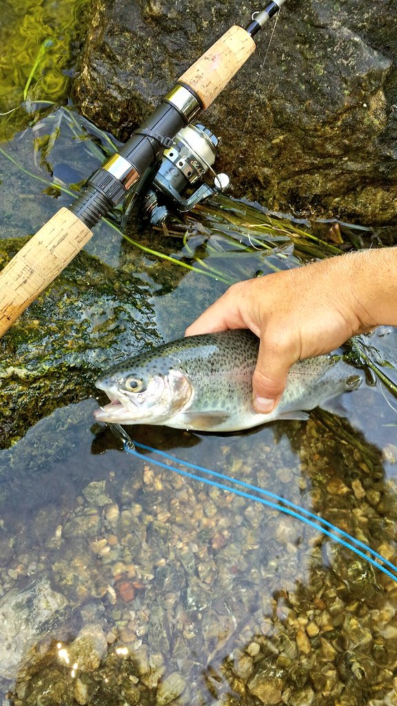 Jaidyn_Watts's tweet photo. Waist deep in the water somewhere...
#Rainbowin #TeamShowtime #HookEmAndCookEm @repyourwater https://t.co/V0OsaK8bPf